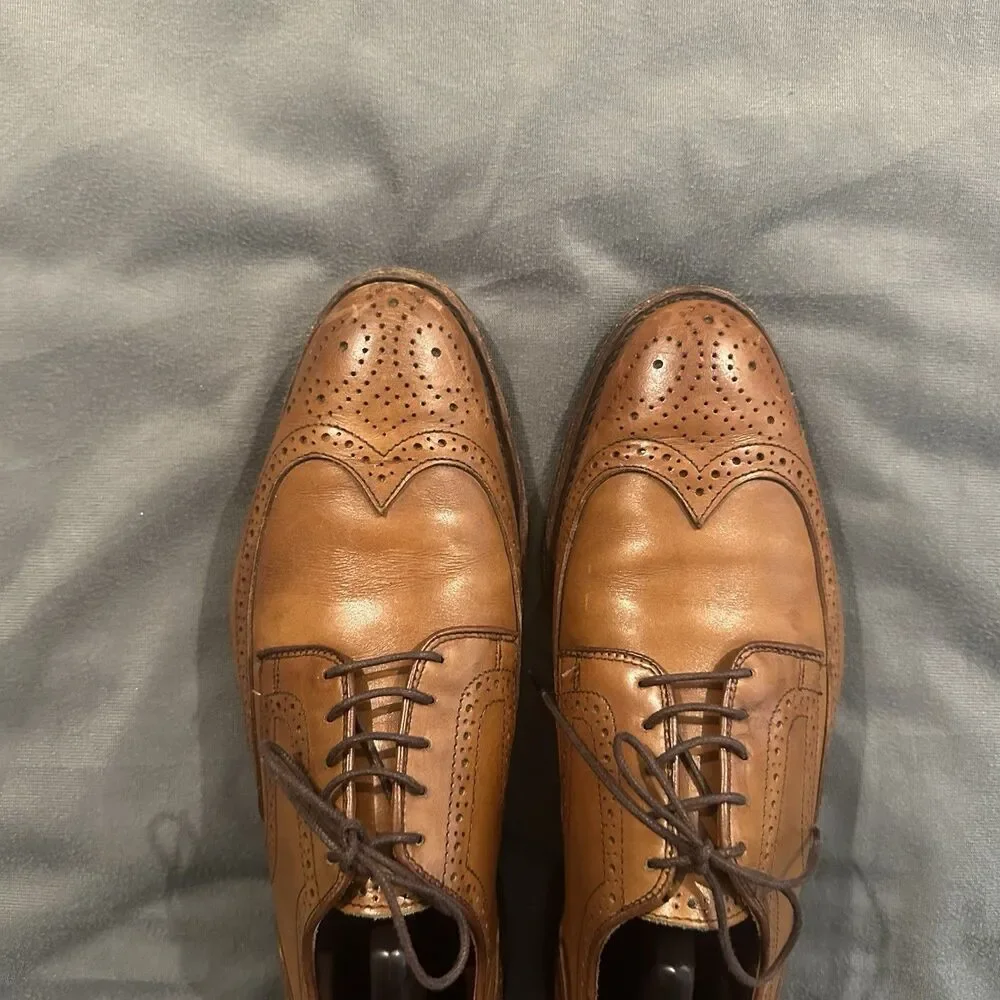 VTG Allen Edmonds Stuttgart Wingtip Oxford Dress Shoes Mens 10.5 D 9728 Walnut